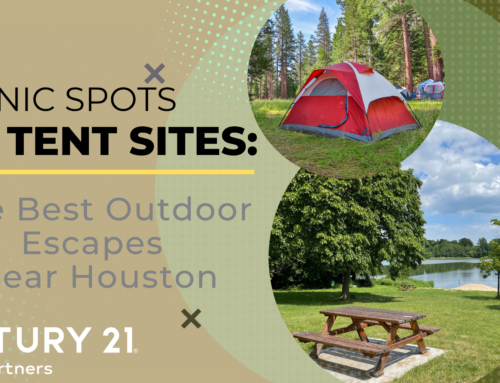 Picnic Spots to Tent Sites: The Best Outdoor Escapes Near Houston